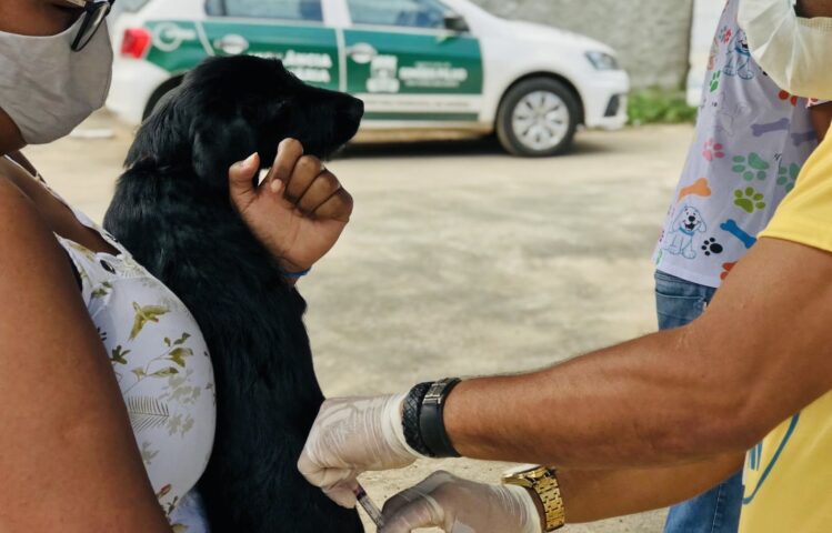 Vacinação antirrábica: Salvador terá postos volantes e itinerantes neste penúltimo fim de semana da campanha
