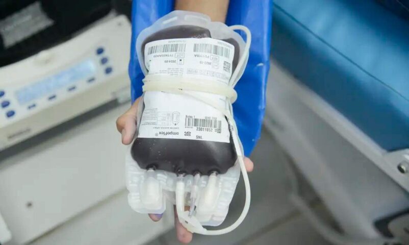 Junho Vermelho passa a integrar calendário oficial de incentivo à doação de sangue