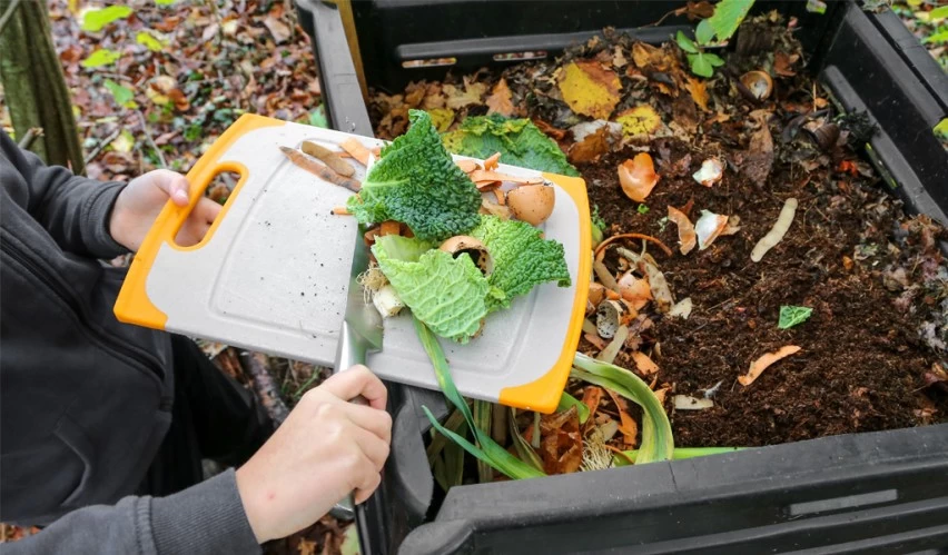 COMPOSTAGEM EM CASA! Salvador abre inscrições para moradores receberem composteiras de graça