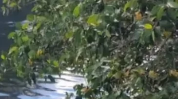MISTÉRIO EM LAURO DE FREITAS! Corpo de homem desaparecido é achado no rio Joanes