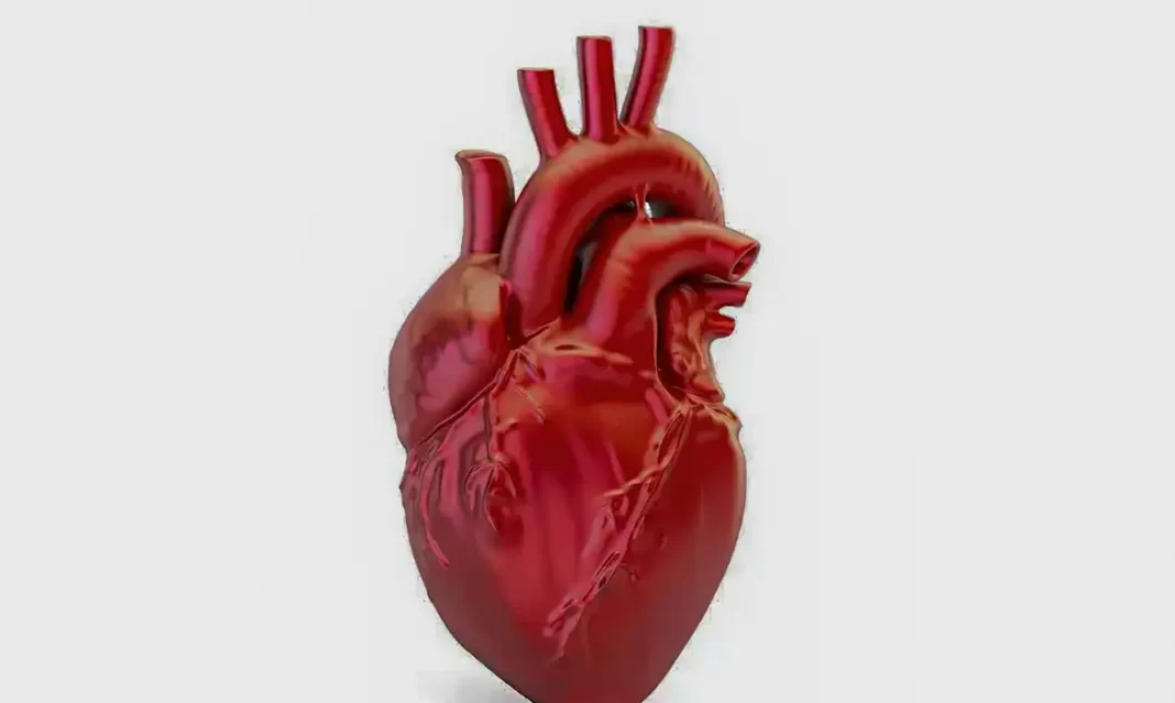 A CADA 72 SEGUNDOS, UMA PESSOA MORRE POR DOENÇA CARDIOVASCULAR NO BRASIL