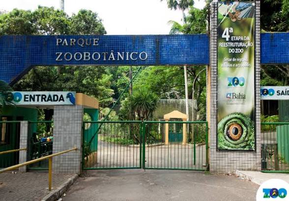 ZOOLÓGICO DE SALVADOR TERÁ DUAS VISITAS NOTURNAS GRATUITAS EM OUTUBRO; VEJA COMO PARTICIPAR